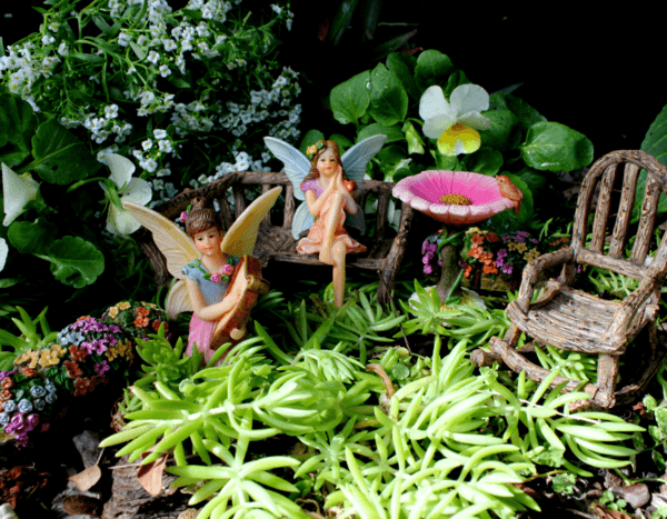 pretmanns fairy garden starter set create your own magical space
