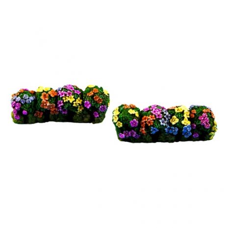 Colorful flower boxes