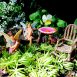 Fairy Garden Corner Set 2