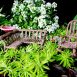 Fairy Garden Corner Set 4