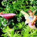 Fairy Garden Corner Set 5