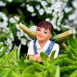 Fairy Garden Flower Stump Set 3