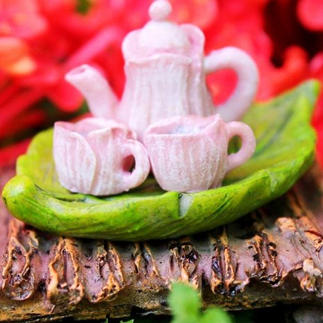 Fairy Garden Starter Kit 2