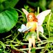 Fairy With Butterfly on Mushroom 3