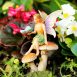 Fairy With Butterfly on Mushroom 4