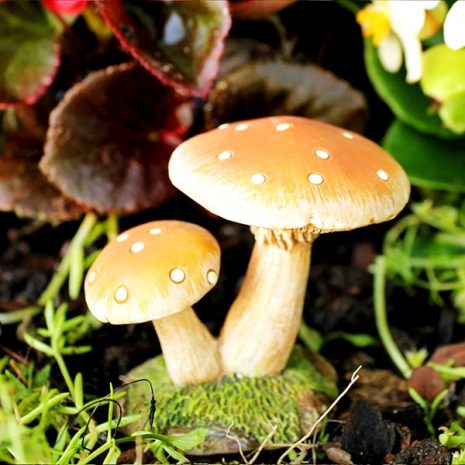 Fairy With Butterfly on Mushroom 5