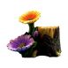 Flower Stump