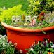 Believe Fairy Ornament 4