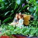 Best Friends Fairies – Fairy Figurine 2