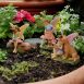 Fairies and Friends Set