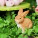 Fairy Figurine Set with Furniture & Tea Set 4