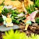 Fairy Garden Forest Fairies 2