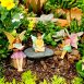 Fairy Garden Forest Fairies