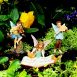 Fairy Garden Musician Set