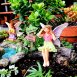 Fairy Garden Pond Set 2
