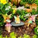 Fairy Garden Tree House Set 4