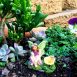 Fairy Tea Party Set – Fairy Garden Accessories 3