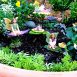 Fairy Tea Party Set - Fairy Garden Accessories